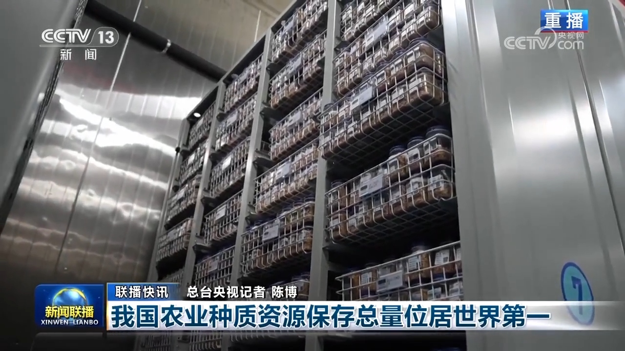 国内联播快讯