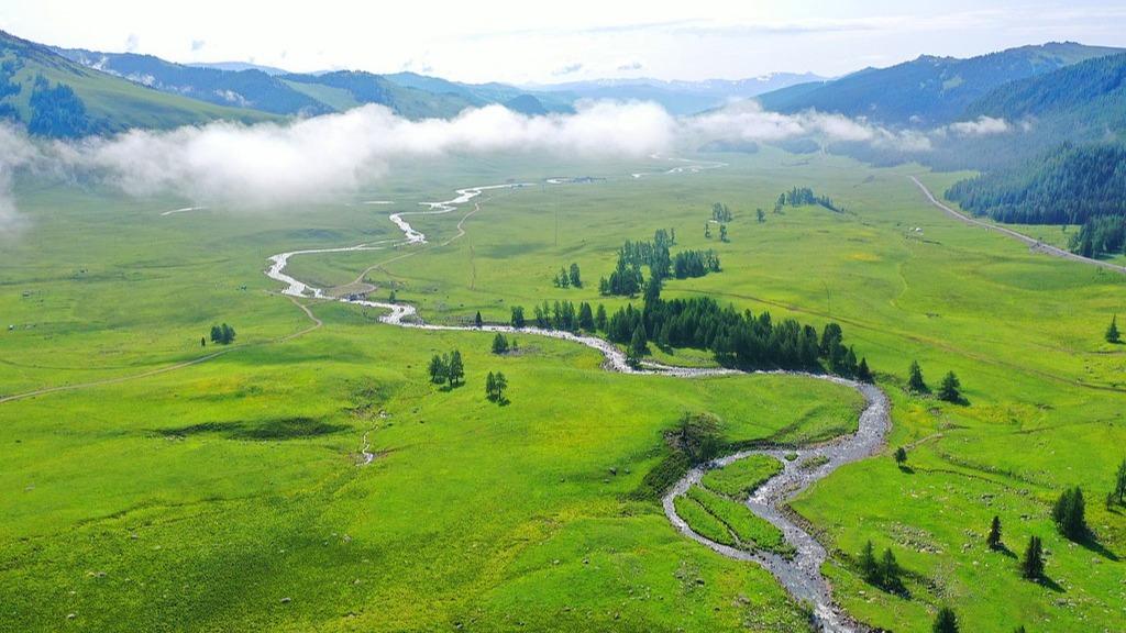 Lush greenery lines the Ahe Highway
