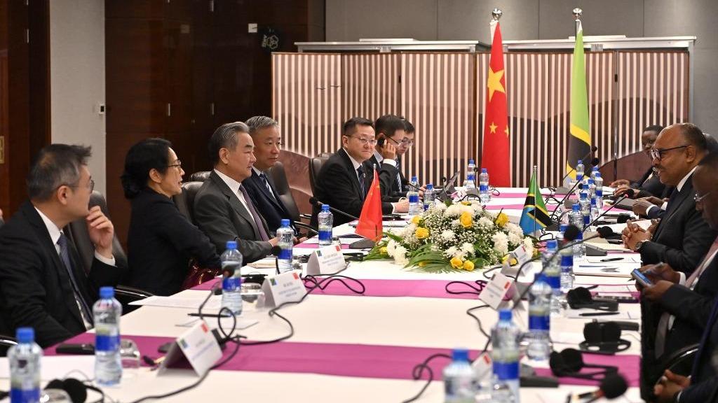 Chinese FM puts forward proposals to further deepen China-Africa friendship