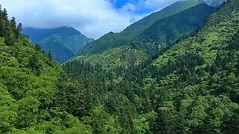 国家林草局：我国新型自然保护地体系初步建成