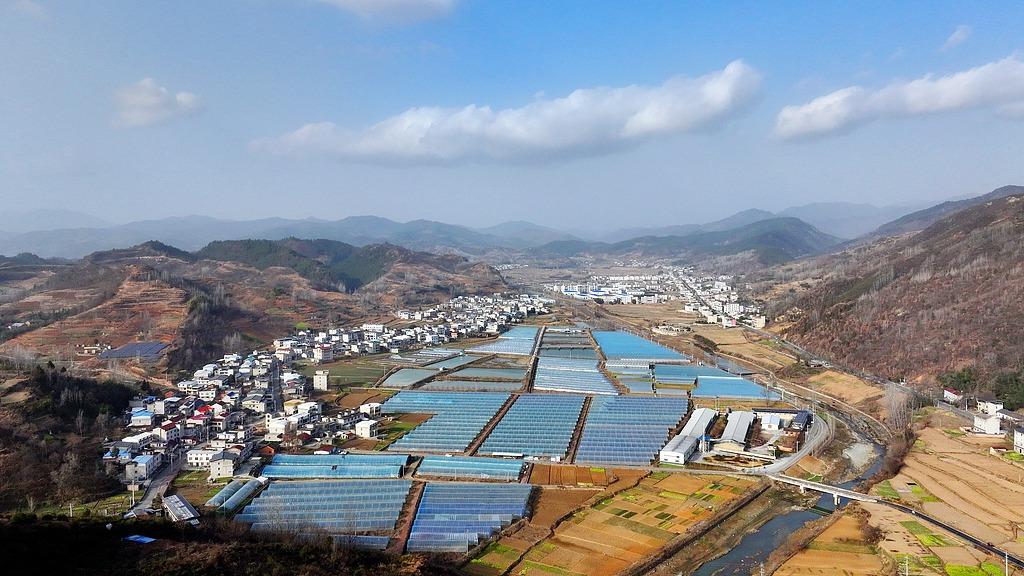 中央一号文件里的新图景