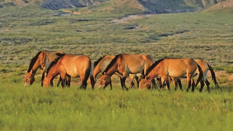 走进春天，触摸这跃动的生命图景