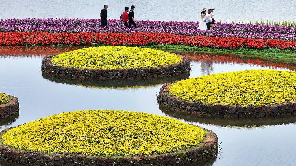 Nanning: Spring flowers at Qingxiu Mountain Scenic Area attract visitors