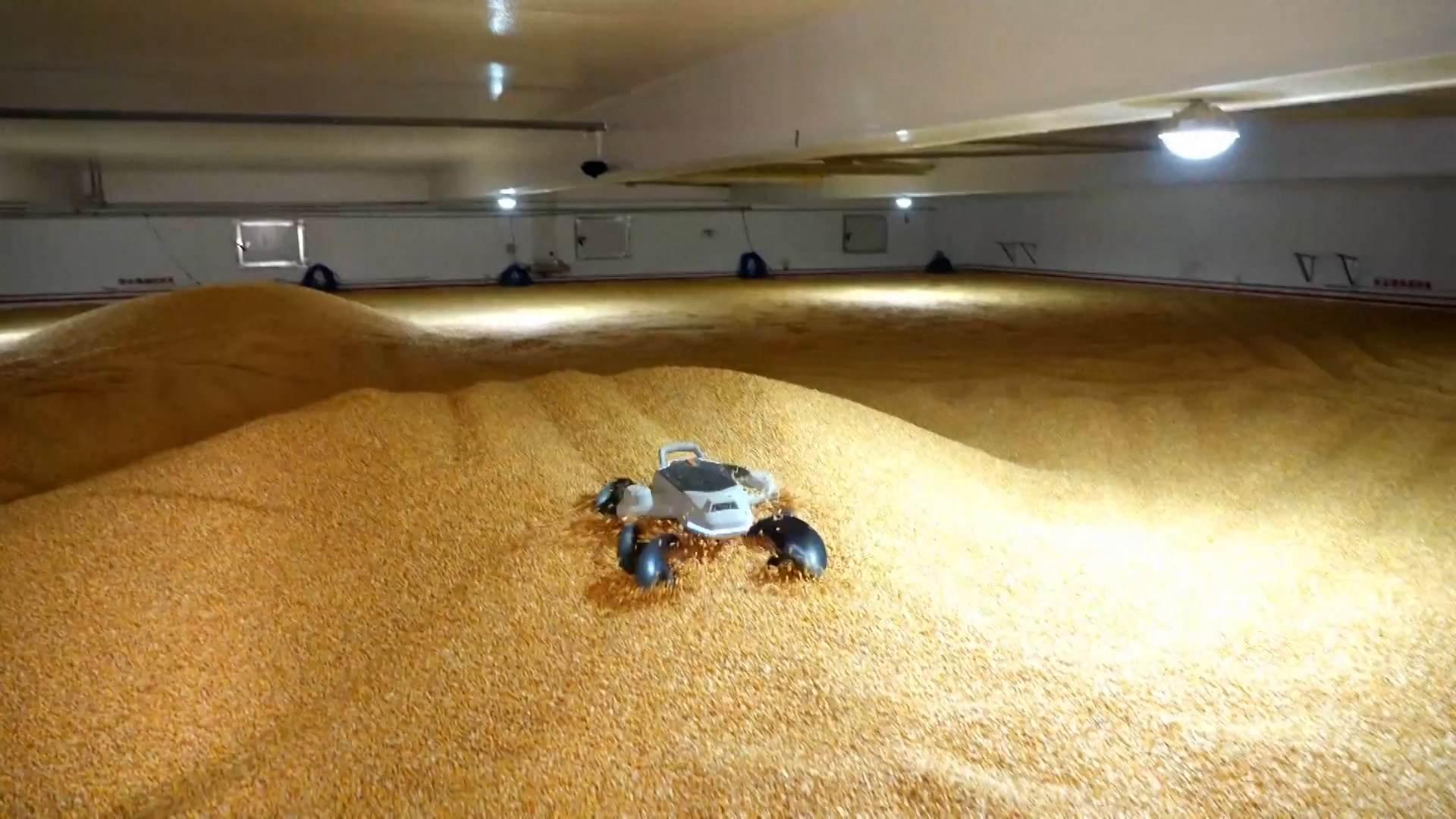 Grain leveling robot frees workers from arduous granary tasks