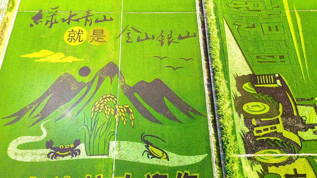 Colorful paddy field painting enters prime viewing period in Kekedala