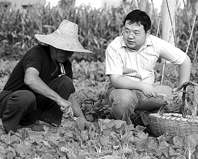 记江苏省南京市栖霞区团委副书记,栖霞街道西花村社区党支部书记石磊