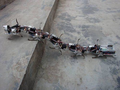 武警装备蛇形机器人 可在千米外侦察恐怖分子