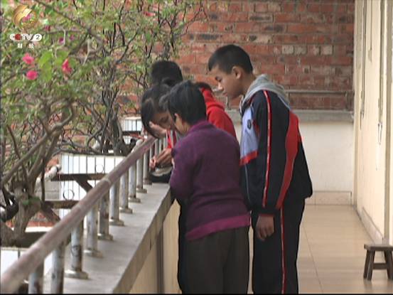 莫秋桂与孩子在帮助敬老院的老人们