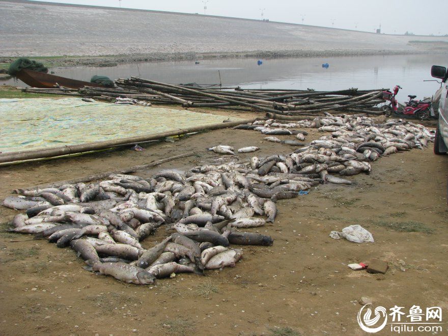 鱼多久会缺氧死 2014061911233788403.jpg