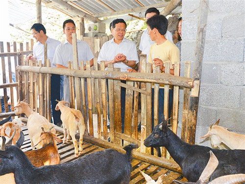 三只羊 2014062011323270711.jpg