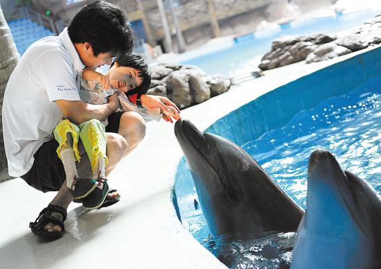 "海豚超声波"对自闭症不足以产生疗效,是真的吗?(0/35)