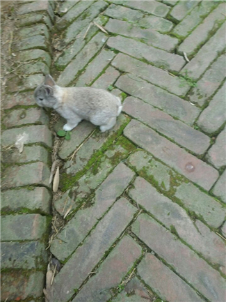 2015050617221313569.jpg