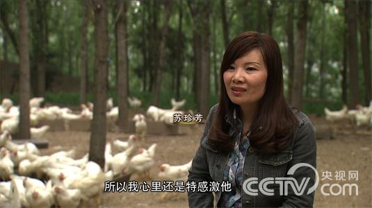 不懂创业的媳妇搞砸商机之后