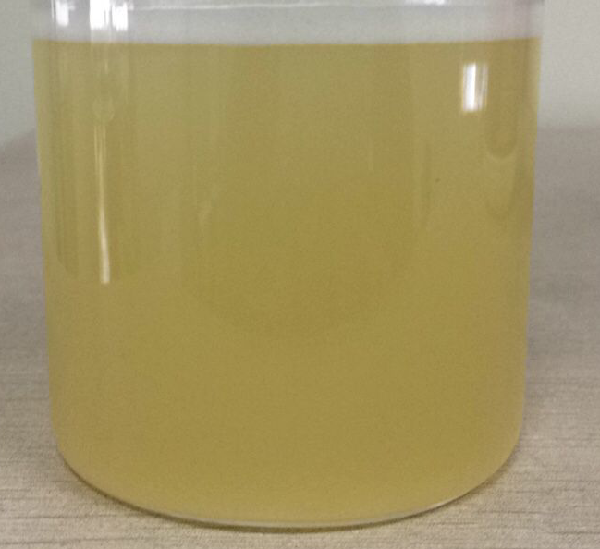 2015081410381983221.png