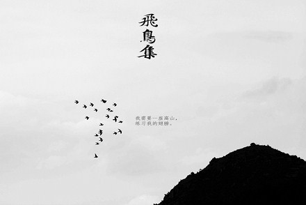 冯唐回应译《飞鸟集》争议:让作品说话来源:华西都市报时间说话明年1