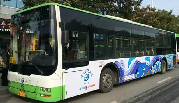 29路(软件园-第一码头)厦门最美的公交线路29路,环岛路,音乐广场