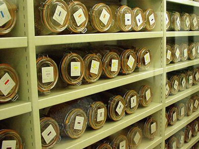 【中国梦 劳动美】三代人的坚守建成珍稀植物种子库