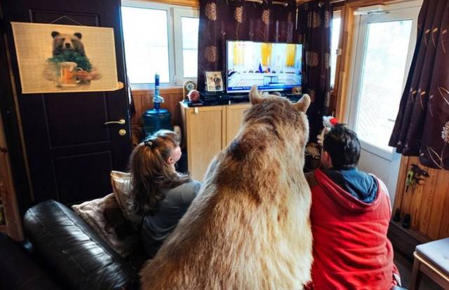 一对夫妇和熊同吃同喝同居23年这不是童话