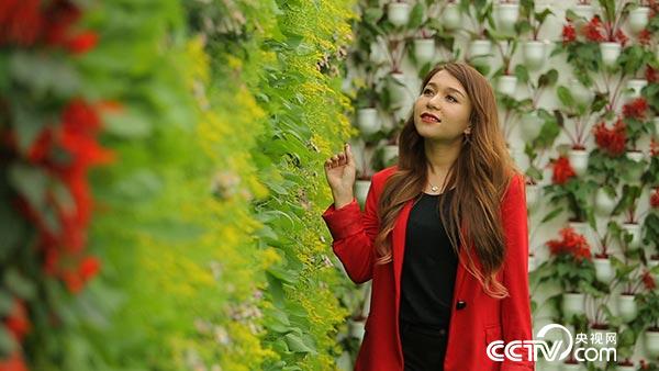 走遍中国栏目8月1日8月5日播出节目