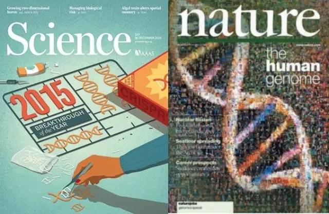 《科学》与《自然》杂志封面