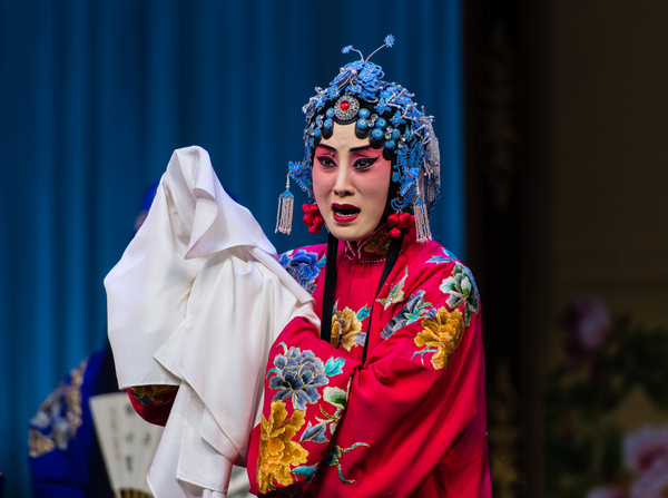 academia nacional de las artes dramáticas de chi