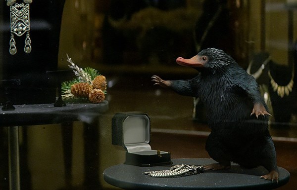 神奇动物内地四天破3亿嗅嗅银行片段曝光