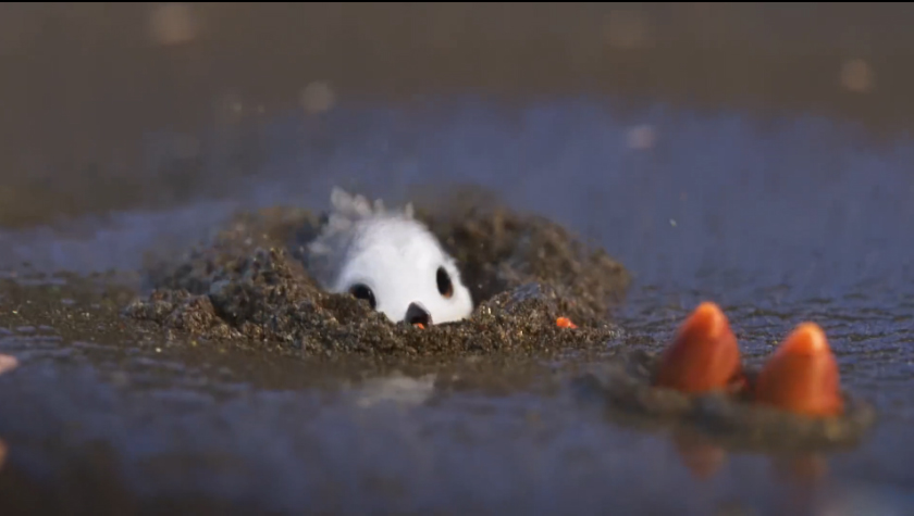 从piper看孩子成长