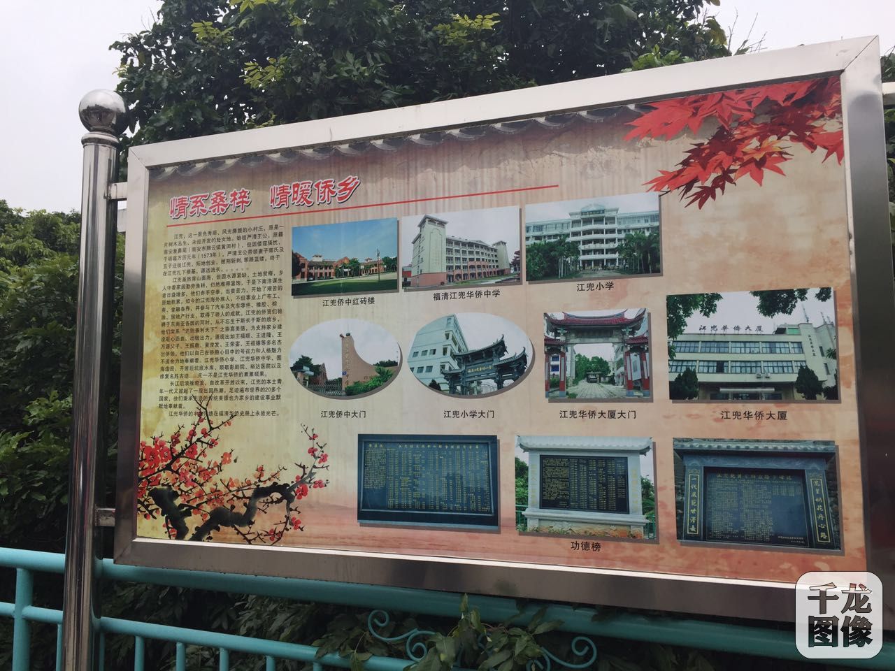 江兜村:“党建+”模式引领乡村美丽蜕变_新闻频道_央视网(cctv.com)