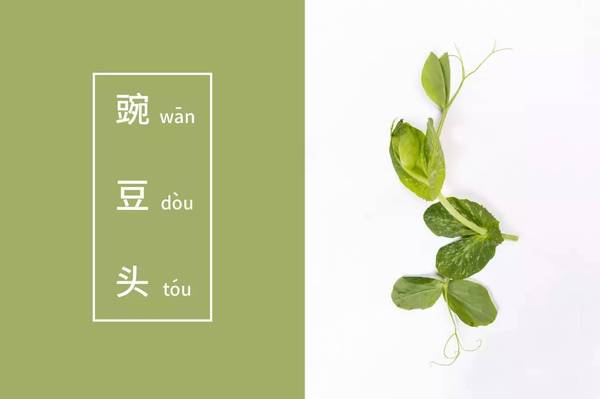 豌豆头是寓意极好的野菜,南京话把它读成" 安豆头",逢年过节总要炒