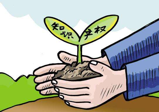 专利制度改革贵在创新与创薪