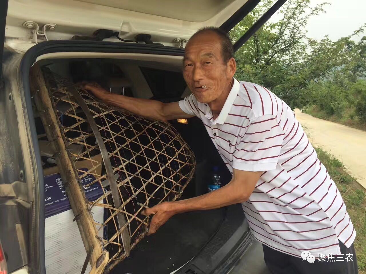 【麦收老友记】三年没见,干爹你还好吗?