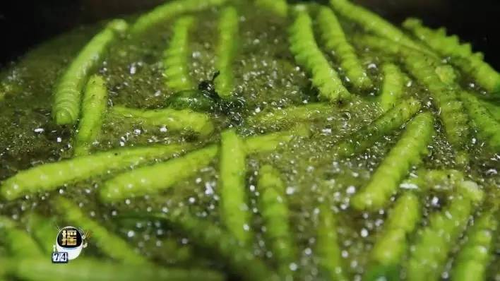 软乎乎的豆青虫 吃起来竟然是这种口感