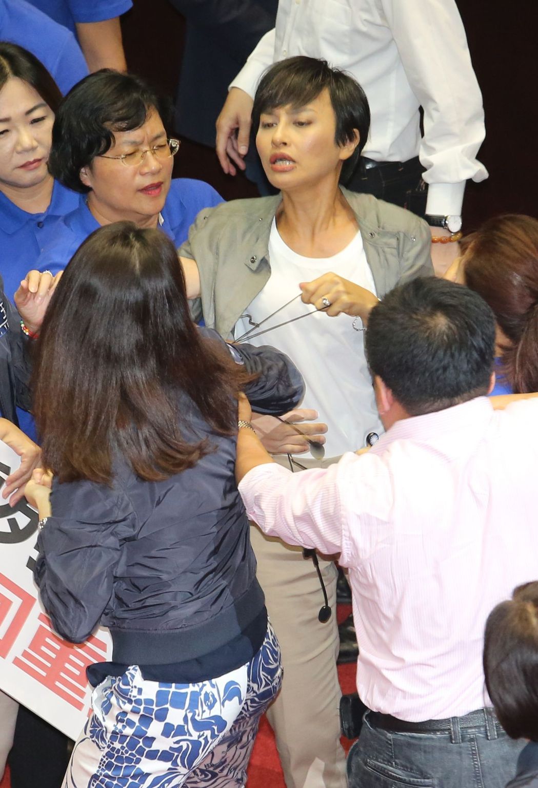 台湾女立委打群架扇巴掌掐脖子齐上