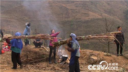 致富经：两个&ldquo;疯狂&rdquo;女人的财富传奇(20170721)