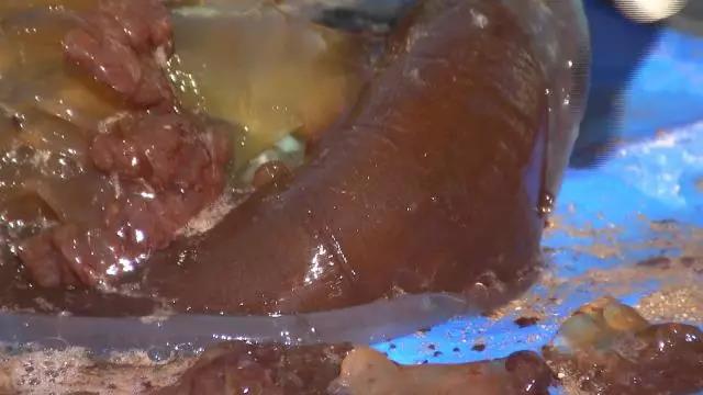 半两重的螃蟹为什么比半斤重的螃蟹贵呢