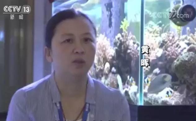 点赞丨二十年,她和团队在海底“植树造林”十万平方米!_新闻频道_央视网(cctv.com)
