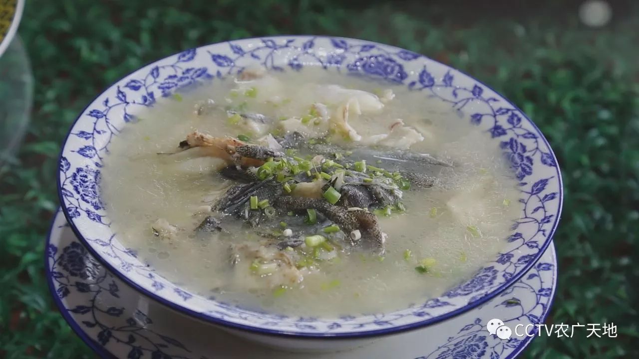 斑石鲷这么名贵的鱼 是怎么走上餐桌的呢