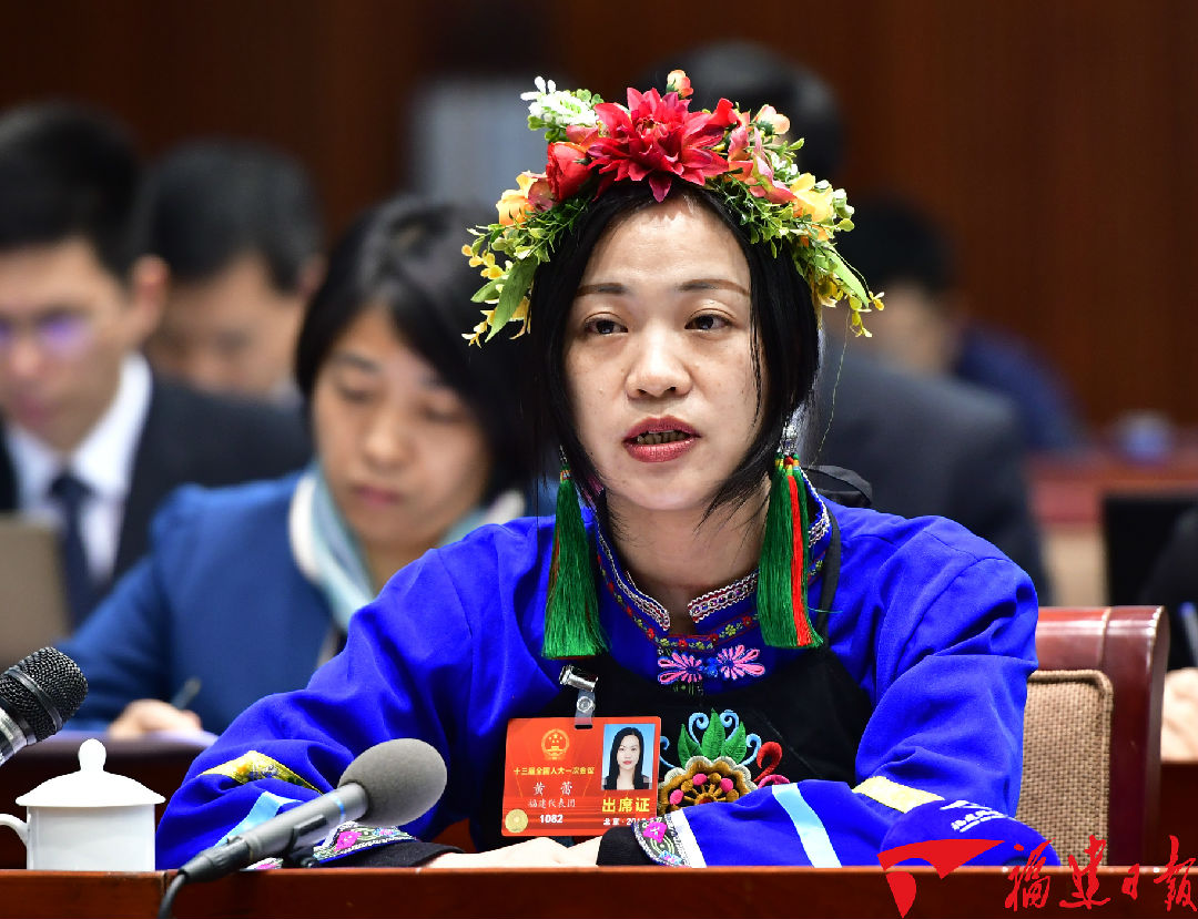 福建代表团审议政府工作报告