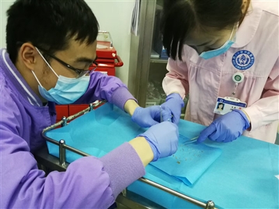 六旬独居老翁喝鲫鱼汤不吐刺 上百根鱼刺扎直肠