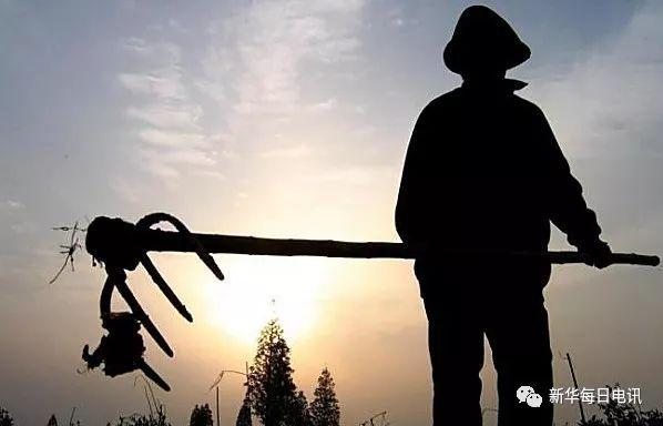 种地挣大钱,农民不"掉价"