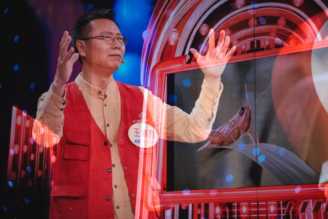 央视体育解说员刘星宇一哭成名还曾是清华男模冠军