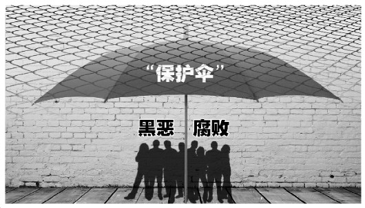 河北通报5起涉黑涉恶腐败及"保护伞"案例