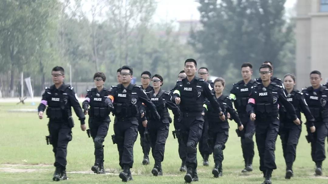 警察特训营第三季荣耀归来全警种精英再聚央视绽金盾风采