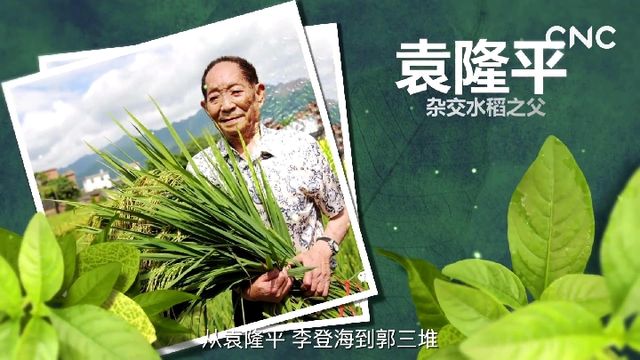 从杂交水稻,高产玉米到抗虫害的棉花   一个又一个农业奇迹在这片