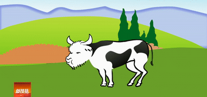 用来吃的奶牛怎么养