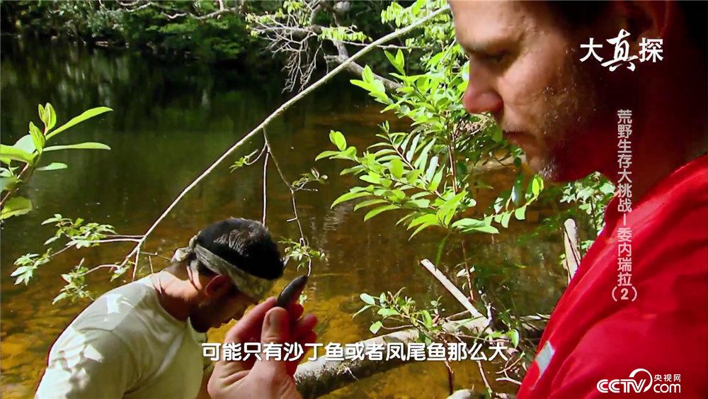 《21点档》节目预告:《荒野生存大挑战-委内瑞拉(2)》(2019年3月16日)