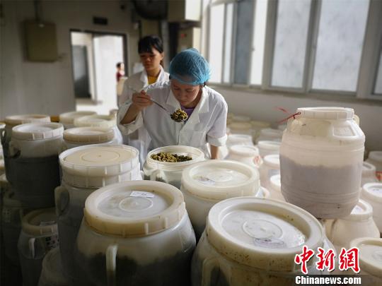 “网红”小吃螺蛳粉检验员:一天品尝10多碗粉保证口感