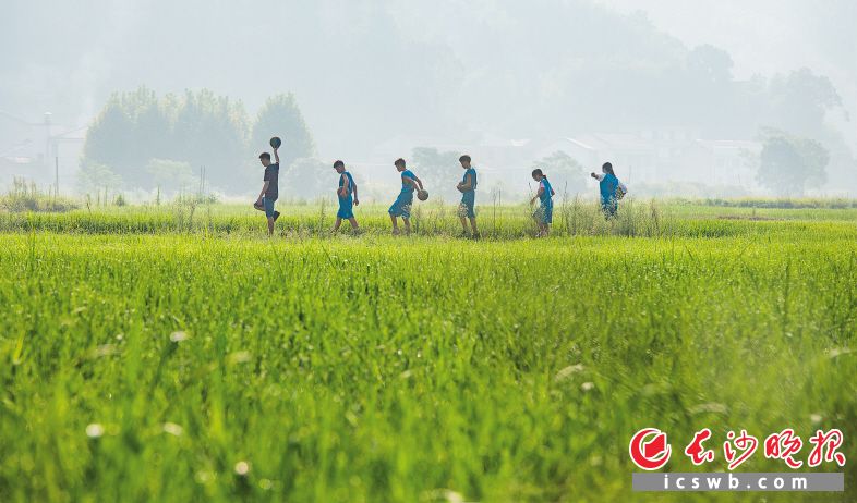 体育“以体育人”：看乡村少年逐梦篮球