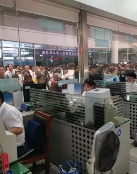 这是一群连台风也吹不走的青年