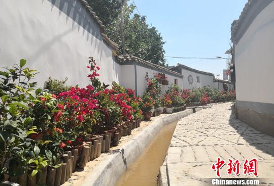 甘肃白银黄河畔“花村” “芬芳经济”促农增收壮产业